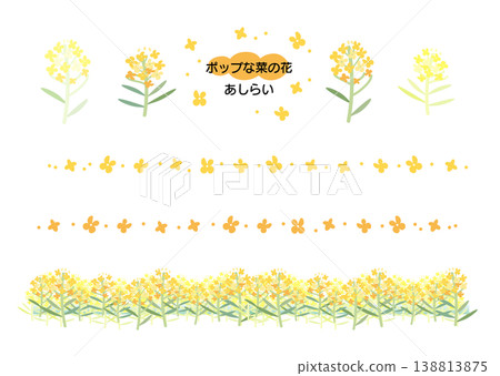 一組普普風格的油菜花插畫 一組普普風格的油菜花插畫 138813875