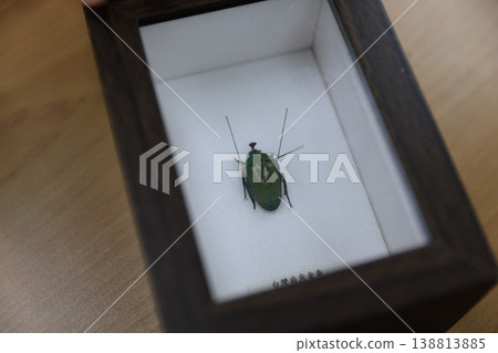 Specimen 138813885