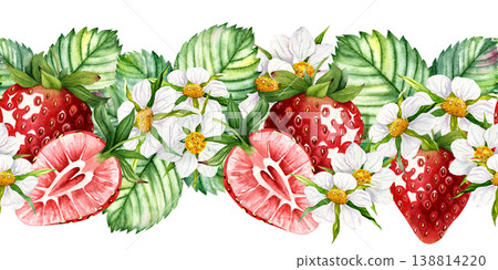 Watercolor seamless strawberry border with flowers and leaves hand painted botanical fruit pattern isolated on white decorative garden ribbon clipart for packaging labels and textile design Watercolor seamless strawberry border with flowers and leaves hand painted botanical fruit pattern isolated on white decorative garden ribbon clipart for packaging labels and textile design 138814220