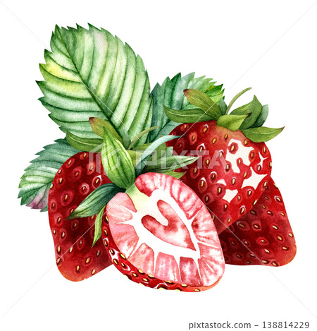Watercolor strawberries with slice and green leaves composition, hand painted ripe berry botanical arrangement isolated on white background, fresh fruit clipart for packaging labels and food design 138814229