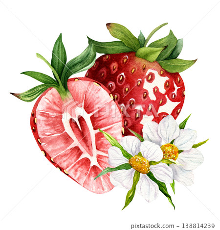 Watercolor strawberry with slice and flowers composition, hand painted ripe berry with blossom isolated on white background, romantic botanical fruit clipart for packaging, labels and food design Watercolor strawberry with slice and flowers composition, hand painted ripe berry with blossom isolated on white background, romantic botanical fruit clipart for packaging, labels and food design 138814239