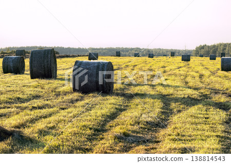 Round hay bales scattered across a mown field under the warm evening sun. Round hay bales scattered across a mown field under the warm evening sun. 138814543