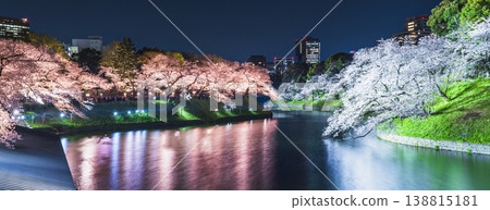 Chidorigafuchi, Tokyo in spring: A panoramic night view of illuminated cherry blossoms [Chiyoda Ward, Tokyo] 138815181