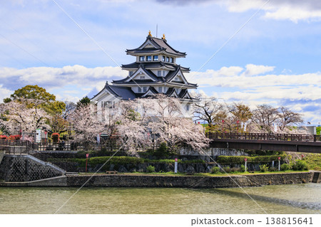 須間市屋城和西川河堤岸的櫻花盛開。 須間市屋城和西川河堤岸的櫻花盛開。 138815641