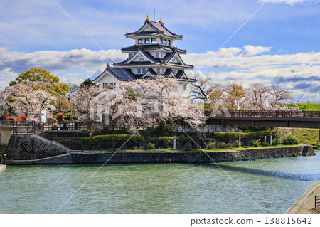 須間市屋城和西川河堤岸的櫻花盛開。 138815642