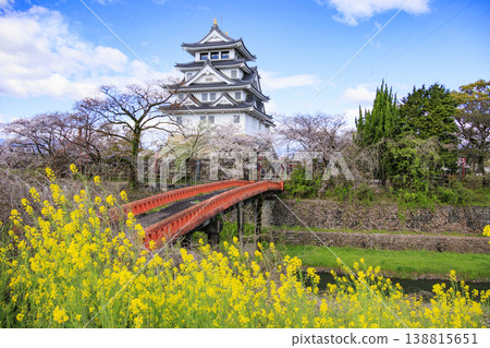 須間市屋城和西川河堤岸的櫻花盛開。 須間市屋城和西川河堤岸的櫻花盛開。 138815651