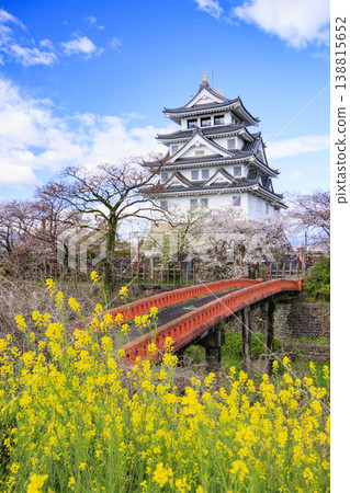 須間市屋城和西川河堤岸的櫻花盛開。 須間市屋城和西川河堤岸的櫻花盛開。 138815652