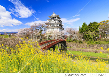 須間市屋城和西川河堤岸的櫻花盛開。 138815655