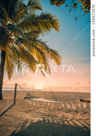 Relaxing palm trees hammock sunset ocean view sandy shore serene tropical beach summer vacation paradise travel background Relaxing palm trees hammock sunset ocean view sandy shore serene tropical beach summer vacation paradise travel background 138815976