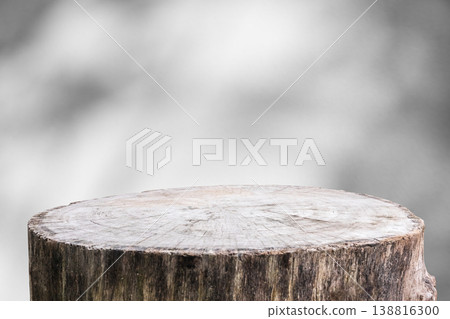 Tree stump with tree shadow drop on white wall background for mockup product display Tree stump with tree shadow drop on white wall background for mockup product display 138816300
