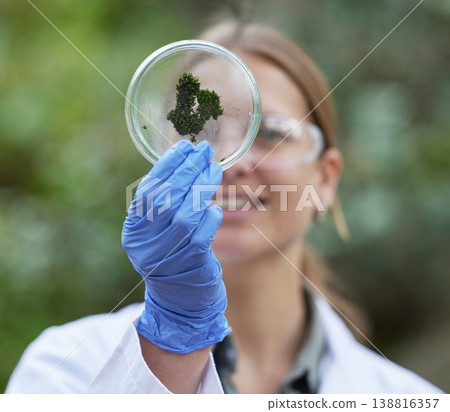 Science, petri dish and woman with moss in forest, plants in nature and study of bacteria growth for sustainable analysis. Ecology, green research and scientist in woods for biotechnology development 138816357