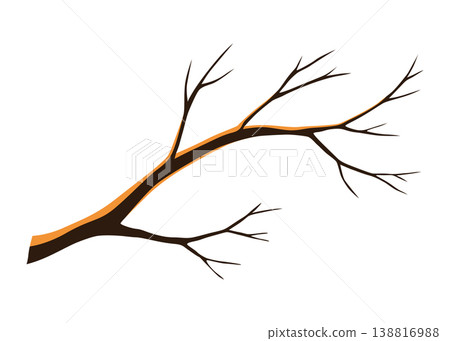 Watercolor hand drawn tree branche. Colorful stick and twig on a white background 138816988