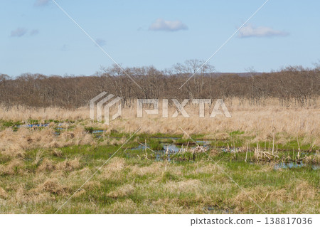 Springtime scenery of the Kushiro Marshland Springtime scenery of the Kushiro Marshland 138817036