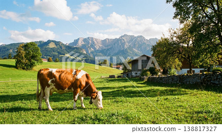Brown and white cow grazes in a sunlit alpine pasture near a farmhouse. A rustic barn and stone wall sit under golden afternoon light. 138817327