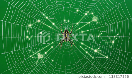 Spider resting at center of a glowing web on a green studio background. Radiating illuminated nodes and network icons emphasize connections and collaboration in a bright futuristic mood. Spider resting at center of a glowing web on a green studio background. Radiating illuminated nodes and network icons emphasize connections and collaboration in a bright futuristic mood. 138817356