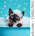 Siamese cat bathes in a blue bathtub in the bathroom. Bubbles rise around the cat as its blue eyes look curious. 138817602