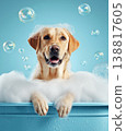 Golden retriever bathes in a blue tub. Foam covers the dog's head and bubbles float around. 138817605