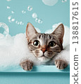 Kitten in a bathtub paddles through a sea of bubbles. A bright turquoise background enhances the cheerful bath time scene. 138817615