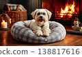 Small dog sits in a plaid bed in the living room. Fireplace glow creates a cozy mood. 138817616