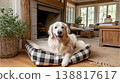 golden retriever lounges in a plaid dog bed in a cozy living room. sunlight streams through the large windows. 138817617