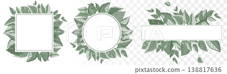 Modern Botanical Frame Collection Square, Circle and Banner Foliage Borders in Dusty Sage Green. Premium Vector for Eco-Branding and Wedding Decor. Modern Botanical Frame Collection Square, Circle and Banner Foliage Borders in Dusty Sage Green. Premium Vector for Eco-Branding and Wedding Decor. 138817636