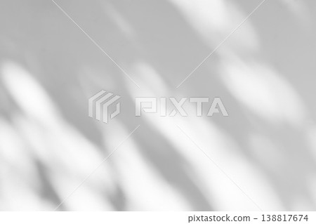 Abstract natural tree branch leaves shadow on white wall background Abstract natural tree branch leaves shadow on white wall background 138817674