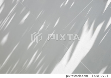 Abstract natural tree branch leaves shadow on white wall background Abstract natural tree branch leaves shadow on white wall background 138817721