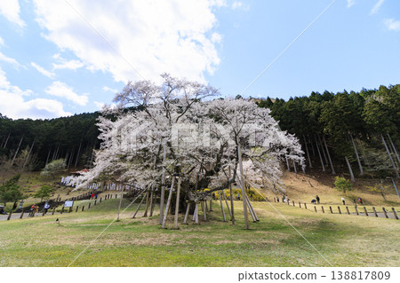 Neno valley Mombakura Neno valley Mombakura 138817809