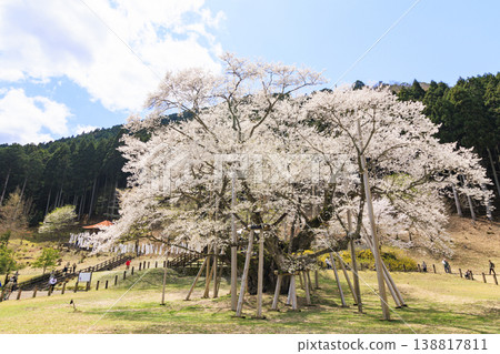 Neno valley Mombakura 138817811