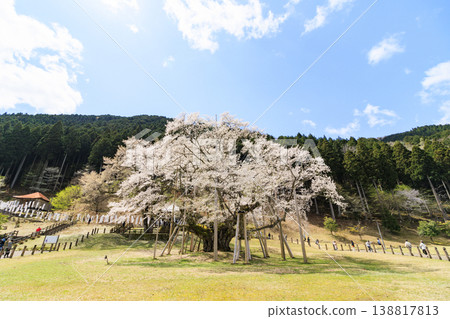 Neno valley Mombakura 138817813