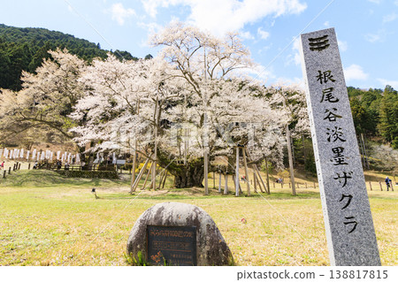 Neno valley Mombakura 138817815