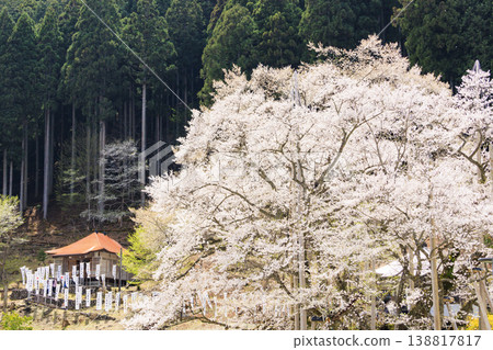 Neno valley Mombakura 138817817