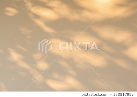 Abstract natural tree branch leaves shadow on beige wall background Abstract natural tree branch leaves shadow on beige wall background 138817992