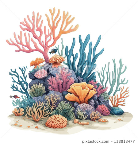 Red Sea Coral Reefs. Red Sea Coral Reefs hand drawn watercolor illustration on white background Red Sea Coral Reefs. Red Sea Coral Reefs hand drawn watercolor illustration on white background 138818477