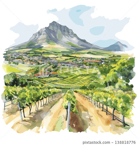 Stellenbosch Winelands. Stellenbosch Winelands hand drawn watercolor illustration on white background 138818776