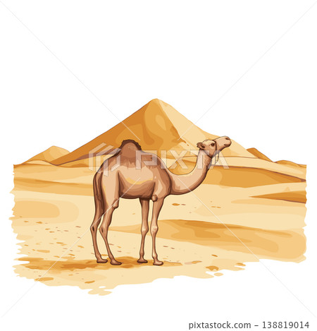 White Desert. White Desert hand drawn watercolor illustration on white background 138819014