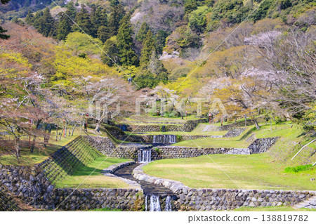 Yoro Park with cherry blossoms in full bloom Yoro Park with cherry blossoms in full bloom 138819782
