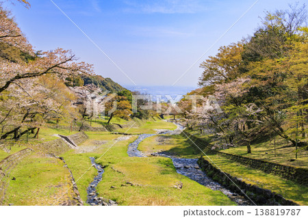 Yoro Park with cherry blossoms in full bloom Yoro Park with cherry blossoms in full bloom 138819787