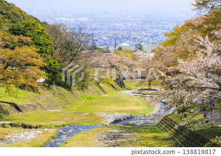 Yoro Park with cherry blossoms in full bloom 138819817