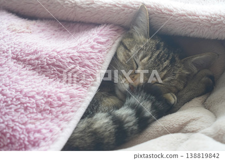 沉睡的鬼虎 138819842