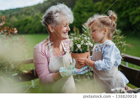 Elderly woman and little granddaughter planting flowers together in spring garden. Elderly woman and little granddaughter planting flowers together in spring garden. 138820018