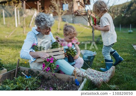 Kids helping older grandmother with gardening, planting flowers. 138820050