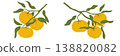 Horizontal banner with yuzu citrus branches and yellow fruits in hand drawn asian style vector illustration with leaves perfect for farm harvest food branding lemonade juice packaging  138820082