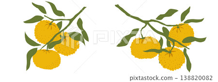 Horizontal banner with yuzu citrus branches and yellow fruits in hand drawn asian style vector illustration with leaves perfect for farm harvest food branding lemonade juice packaging Horizontal banner with yuzu citrus branches and yellow fruits in hand drawn asian style vector illustration with leaves perfect for farm harvest food branding lemonade juice packaging 138820082