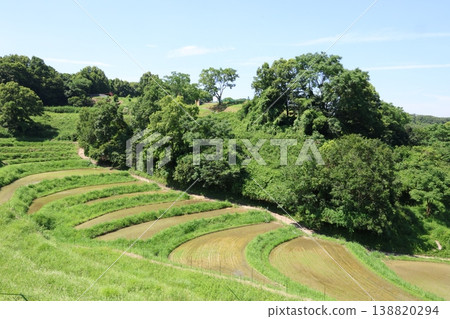 Beautiful rice terraces in summer 138820294