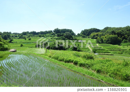 Beautiful rice terraces in summer Beautiful rice terraces in summer 138820301