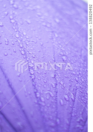 Raindrops on a purple umbrella - rainy season - rain image Raindrops on a purple umbrella - rainy season - rain image 138820492
