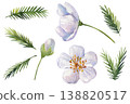 cherry blossom watercolor clipart set with pale pink flowers buds and evergreen pine branches isolated for spring design 138820517