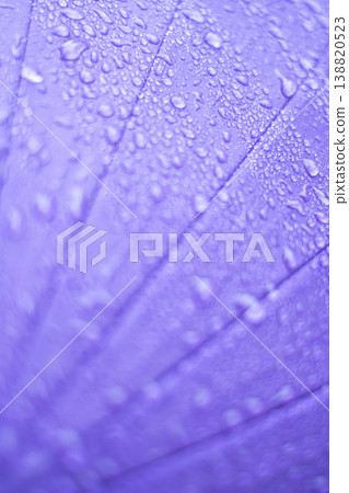 Raindrops on a purple umbrella - rainy season - rain image Raindrops on a purple umbrella - rainy season - rain image 138820523