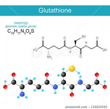 Glutathione molecule. Molecular chemical structural formula Glutathione molecule. Molecular chemical structural formula 138820565